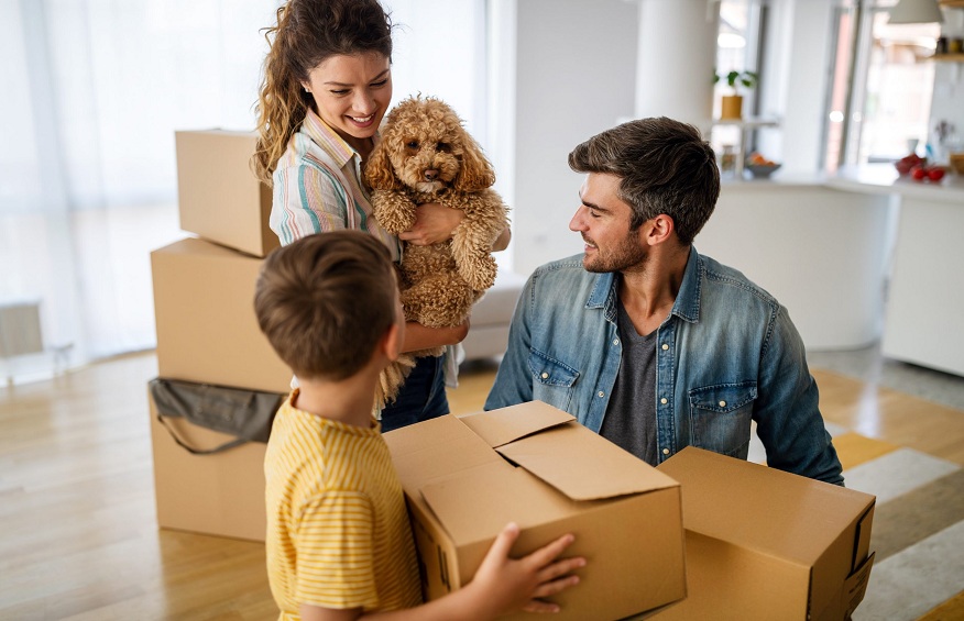 ips for Moving with Pets